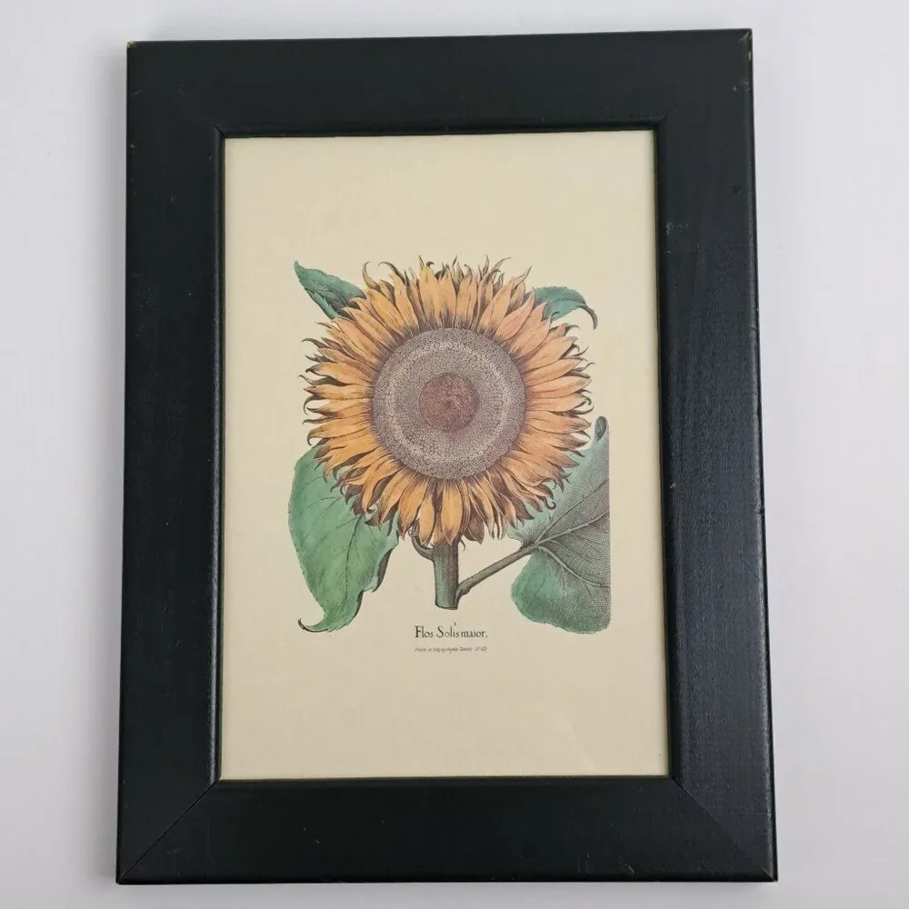 Flos Solismaior, Sunflower Floral Print